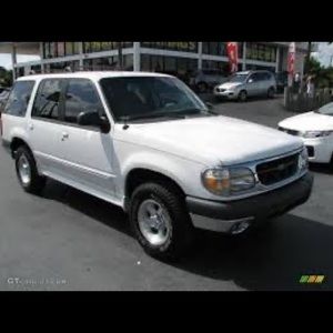 Meet your Posher, Darcy